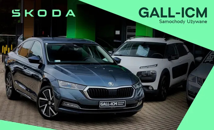 samochody osobowe Skoda Octavia cena 114999 przebieg: 84800, rok produkcji 2021 z Wodzisław Śląski